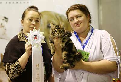 �������� ����� 18-19 ������� 2014 WCF-����� 9-37-169A3100 copy.jpg